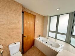 Clover By The Park (D20), Condominium #625983811